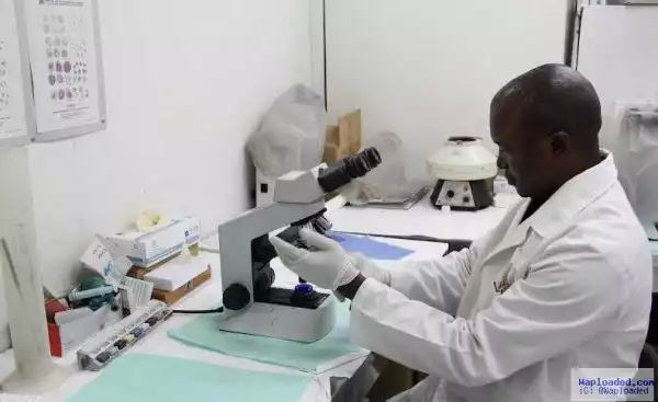 Govt Confirms Outbreak Of Lassa Fever In Taraba State, 1 Confirmed Dead
